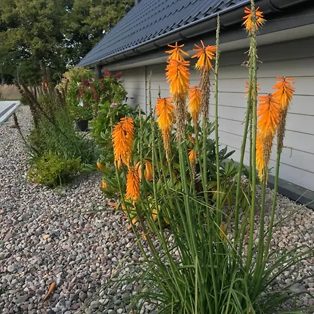 U Wikinga - Letniskowe W Mielnie Дом отдыха Мельно