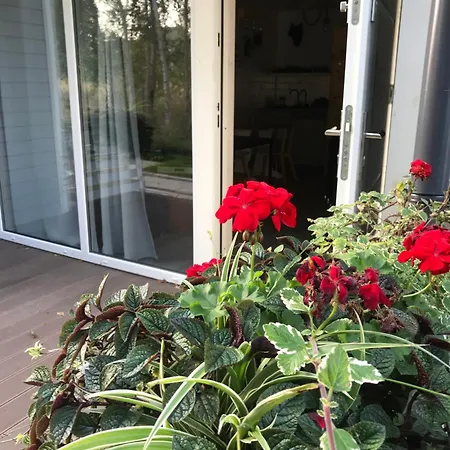 U Wikinga - Letniskowe W Mielnie Mielno (Koszalin)