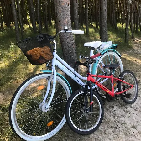U Wikinga - Letniskowe W Mielnie Holiday home *