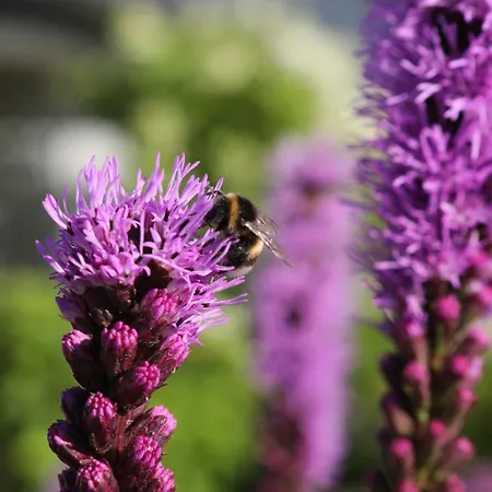 U Wikinga - Letniskowe W Mielnie