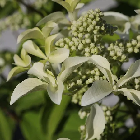 بيت للعطل U Wikinga - Letniskowe W Mielnie *