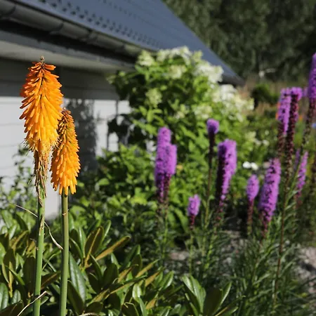 U Wikinga - Letniskowe W Mielnie * ميلنو