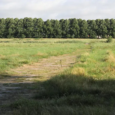 U Wikinga - Letniskowe W Mielnie *